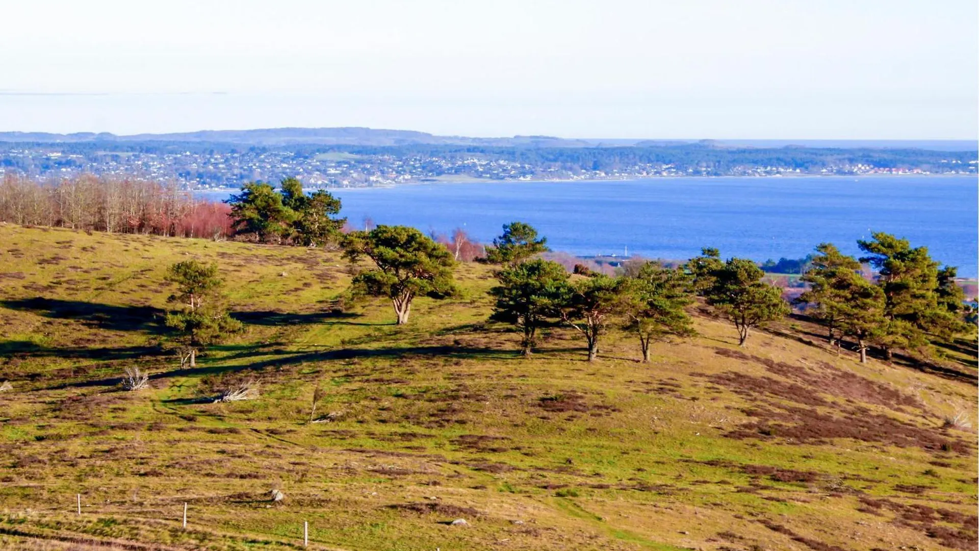 Semesterbostad Beautiful Home In Ebeltoft With Kitchen Danmark